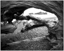 Rialto Beach