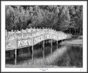 Neil's-Photography026
