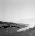 December on the beach