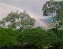 Manoa Rainbow, 25 December 2018