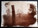 Pinhole Fence Post