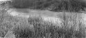 Edgemont Pond