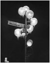 Cold lights ?