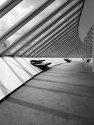 Sainsbury Centre for Visual Arts 2006
