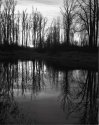 GladwinPond-Toyo-Acros--