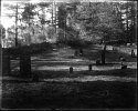 Dry Plate - Gilson Road Cemetery