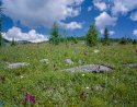 Healy Pass, AB