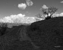 Around The Bend