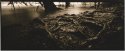 After The Flood