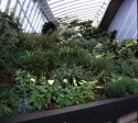 The 'Sky Garden' London