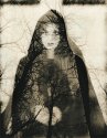 Reign Of Silence