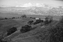 Hill Scene