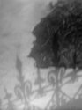 Shadow