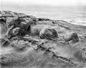 Coos Bay