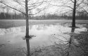 Reflections