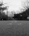 The Road Ahead
