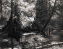 Rolley Lake-Sunshine