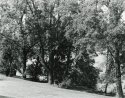 Sonatas I-2 (allegro non troppo)