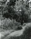 Sonatas I-6 (adagio)