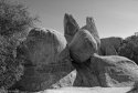 Rock Pile
