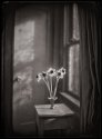 Narcissus #2: Genius Loci