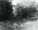 Sonatas I-10 (adagio)