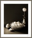 Neil's-Photography062
