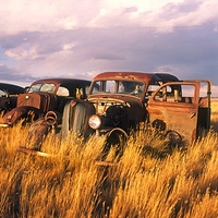 Ghost Cars, Wyoming