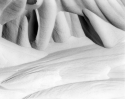 Snow drift #6