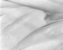 Snow Drift #2