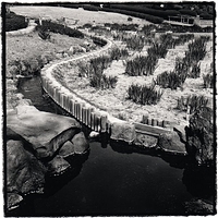 Imperial Palace Gardens