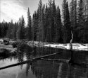 Snow Melt