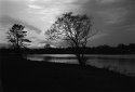 Untitled 0022