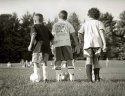 Soccer Practice