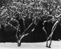 winter, 2005