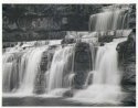 Cotter Force