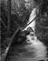 Twin Two Creek Falls