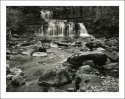 Cotter Force
