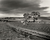 Approaching Storm on the Monaro Plains