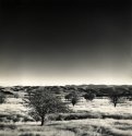 St Bathans Range