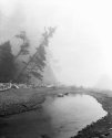 Ruby Beach