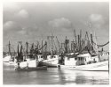 Shrimp Boats and Skif - Biloxi, MS