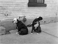 APUG conference street scenes