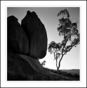 Black Mountain