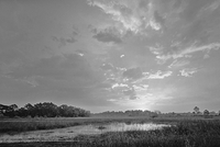 Sunrise at Cecil Web 2004