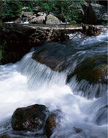 Glacier Creek Cascade