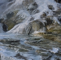 Palette Springs, Yellowstone