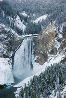 Lower Falls, Yellowstone