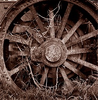 Traction engine wheel