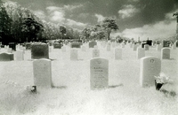 Presidio, San Francisco IR